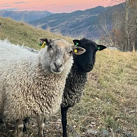 Stabbur - Ovre Sveum Alloggio per agriturismo Vaga