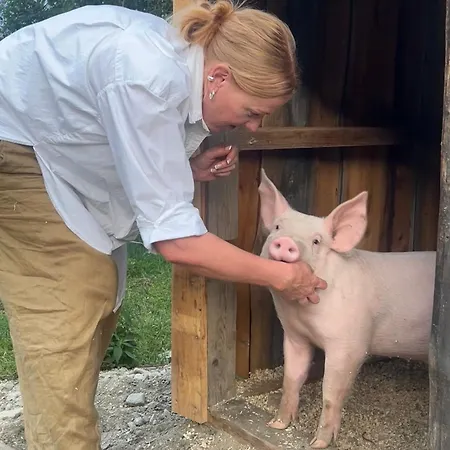 Stabbur - Ovre Sveum Alloggio per agriturismo *